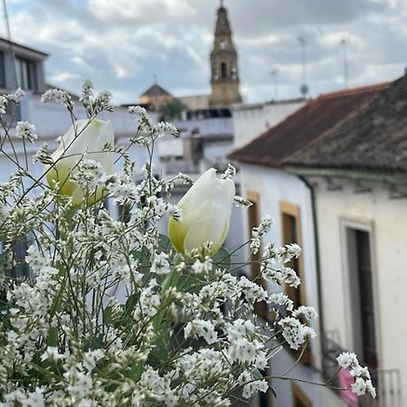 Appartamento El Balcon De La Torre Cordova Esterno foto