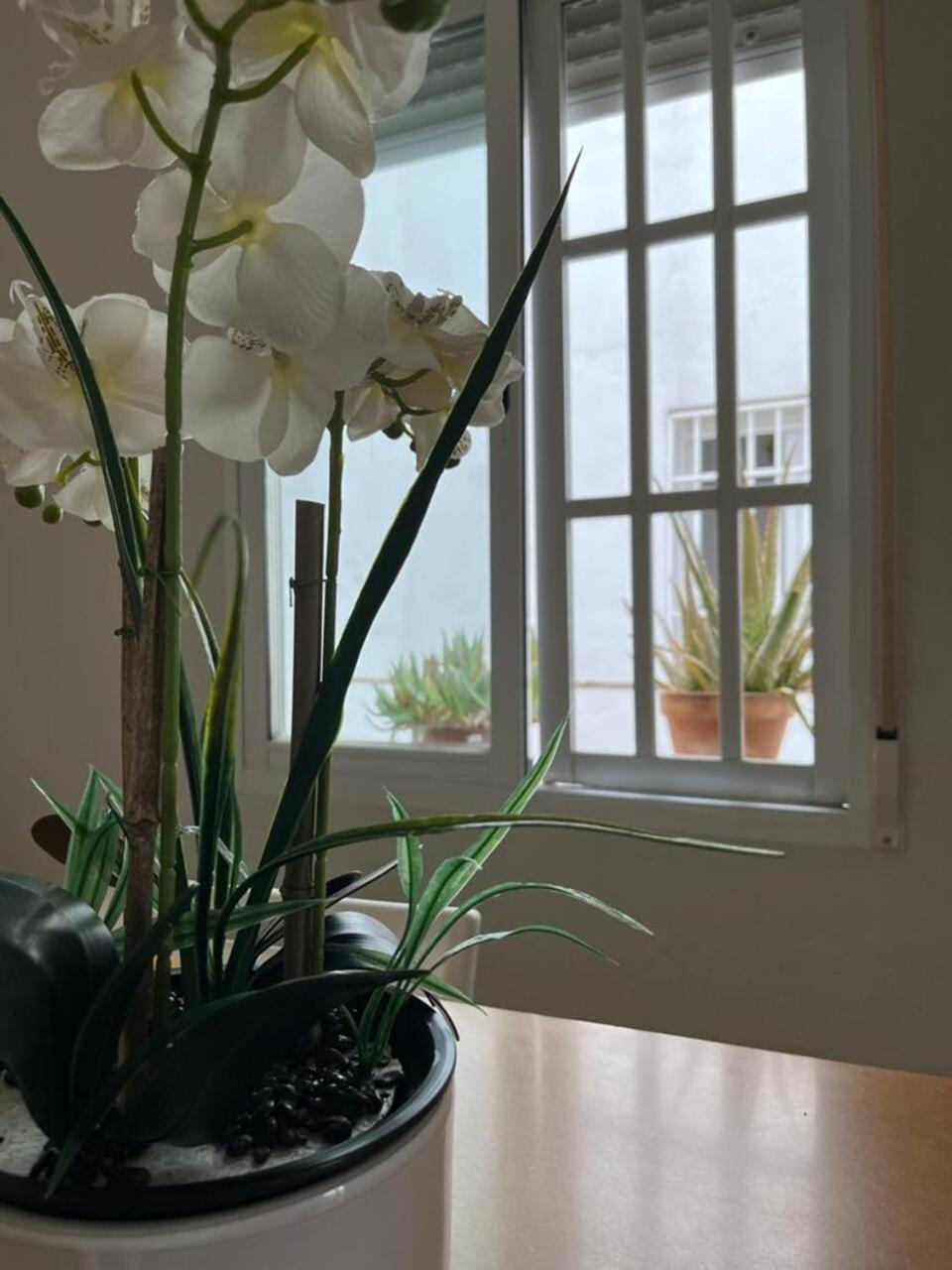 Appartamento El Balcon De La Torre Cordova Esterno foto