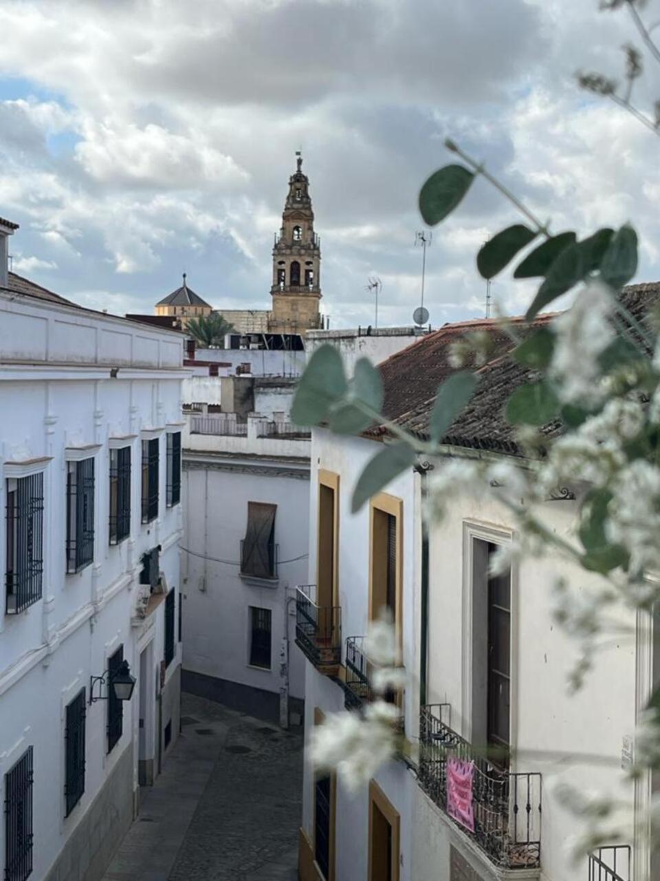 Appartamento El Balcon De La Torre Cordova Esterno foto